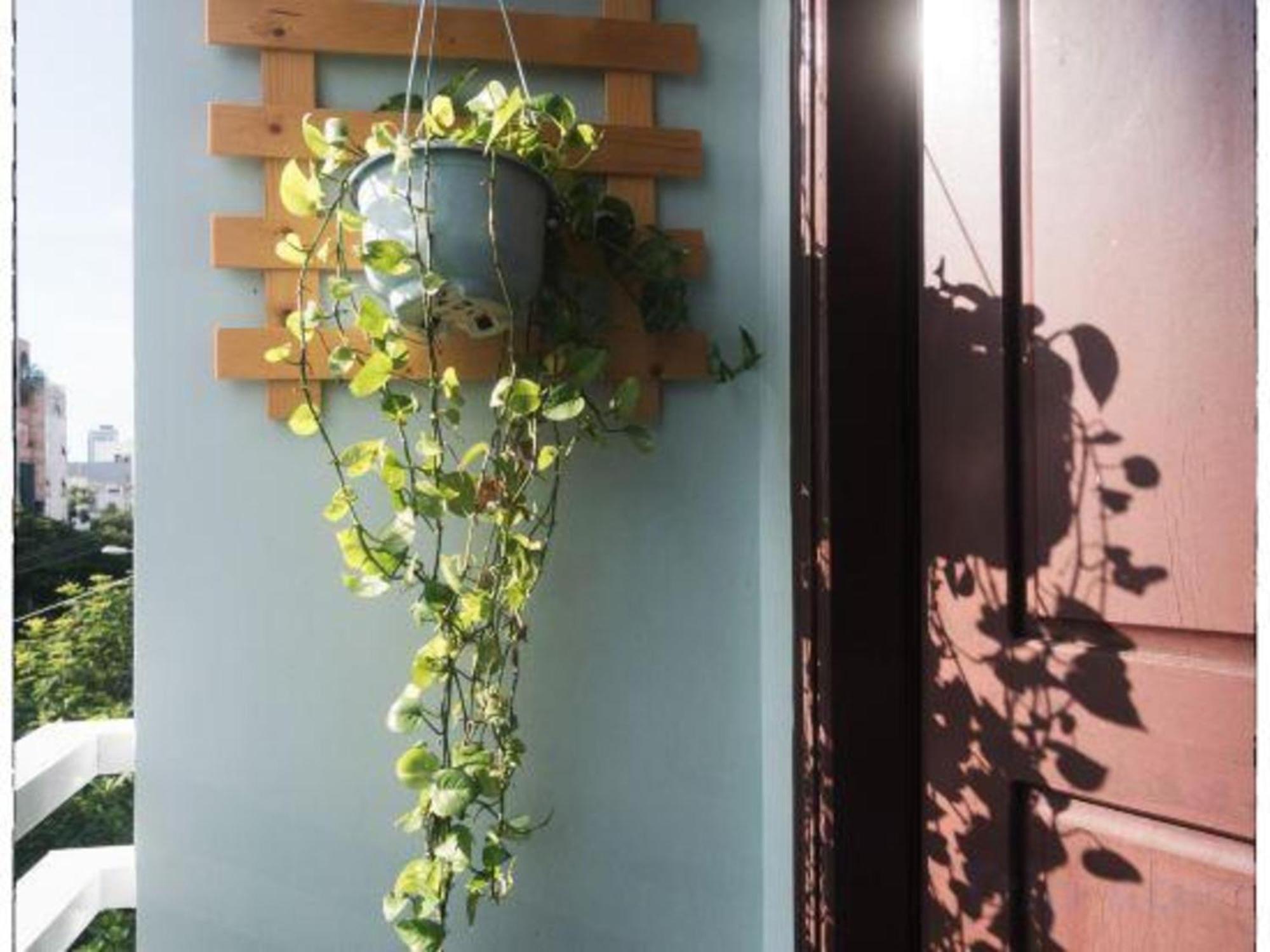 Oyo 1168 Elly'S Home 2 Da Nang Dış mekan fotoğraf